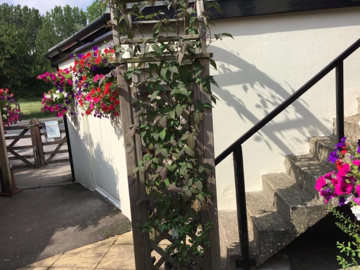 The Bell Inn ساليزبري المظهر الخارجي الصورة